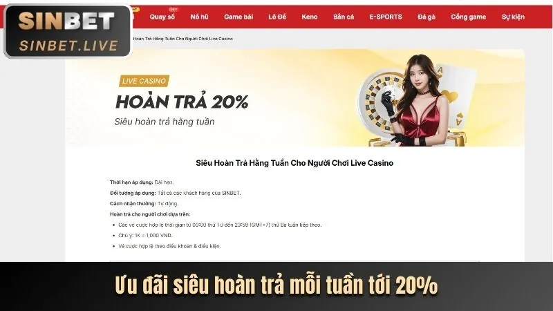 Hình ảnh về các trò chơi casino mới nhất và tính năng đại lý trực tiếp tại Dabet.